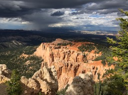 IMG_2874