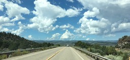 IMG_2897