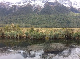 IMG_3088