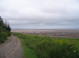 Low Tide img_3168