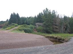 Low Tide img_3169
