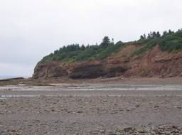 Low Tide img_3170