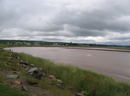 Low Tide img_3171
