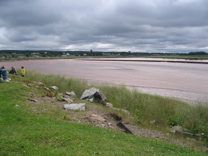 Tide coming in img_3176