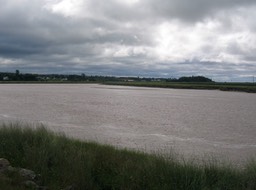 Tide coming in img_3186