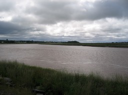 Tide in img_3188