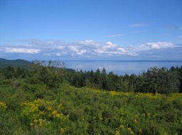 View img_3212