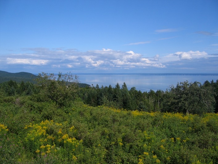 View img_3212