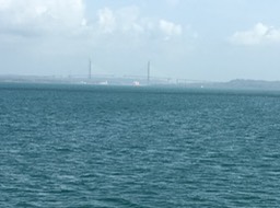 IMG_3230