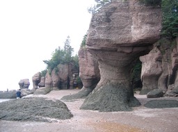 Rocks img_3232