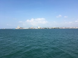 IMG_3233