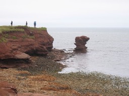 Shore img_3254