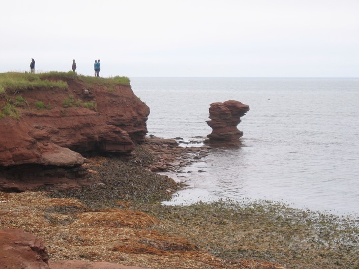 Shore img_3254