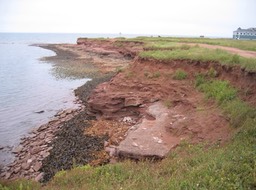 Shore img_3259