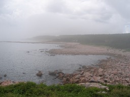 Shore img_3272