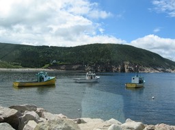 Boats img_3275