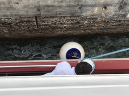 IMG_3351