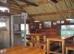 Wild Cat Cafe img_3512