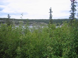 View img_3535