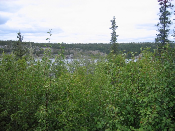 View img_3535