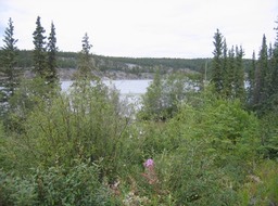 View img_3537