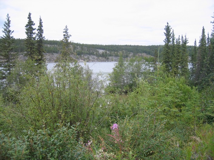 View img_3537