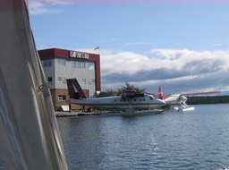 Planes img_3572