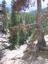 View img_3643
