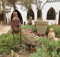 IMG_3852.jpeg