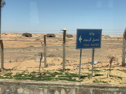 IMG_3910