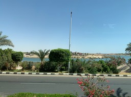 IMG_3957