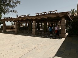 IMG_3992