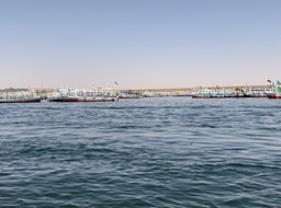 IMG_4007