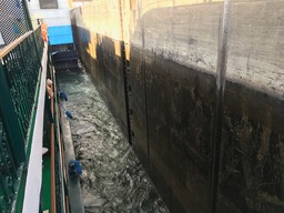 IMG_4764.jpeg