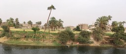 IMG_4766