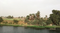 IMG_4767