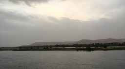 IMG_4774