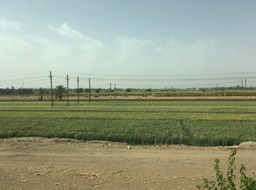 IMG_4799