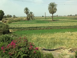 IMG_4806.jpeg