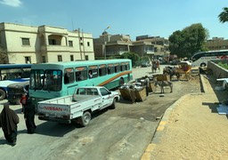 IMG_4844.jpeg