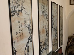 IMG_5112