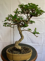 IMG_5213