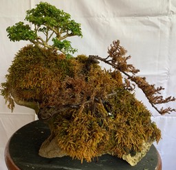 IMG_5214