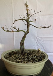 IMG_5220