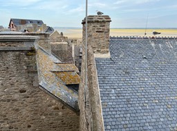 IMG_5992