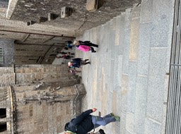 IMG_6006
