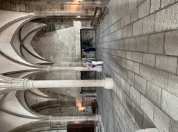 IMG_6015