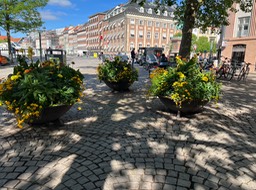 IMG_6026