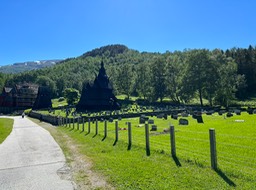 IMG_6153