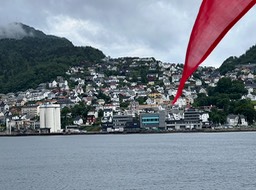 IMG_6236